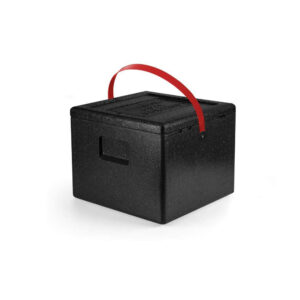 ISOTHERMAL CONTAINER (115911)