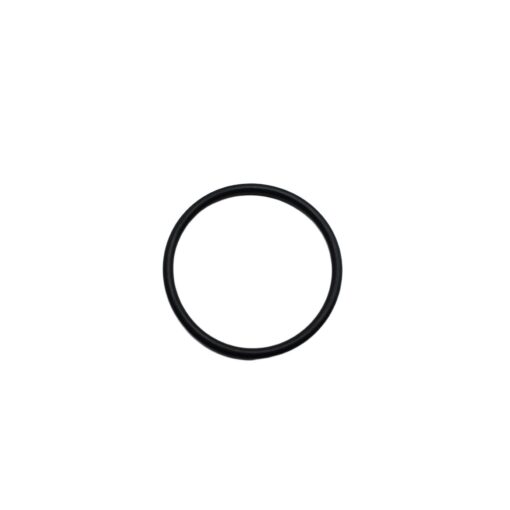 O-RING VP2640 (456061)