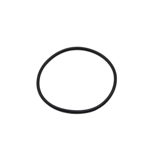 GASKET SUCTION BODY DOME (456040)