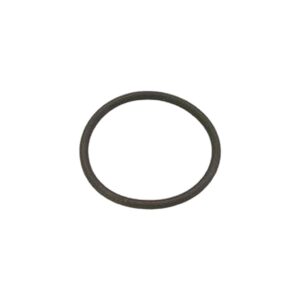 WASH NOZZLE O-RING (456042)