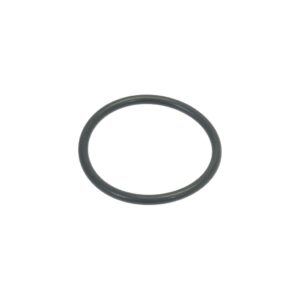 O-RING SEAL (456052)