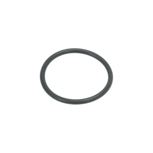 O-RING SEAL (456052)