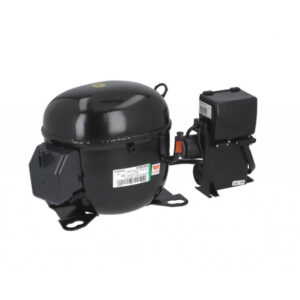BUY NT6224GK - 923JG02 115v. 60Hz