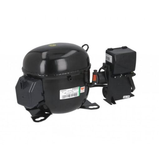 BUY NT6224GK - 923JG02 115v. 60Hz