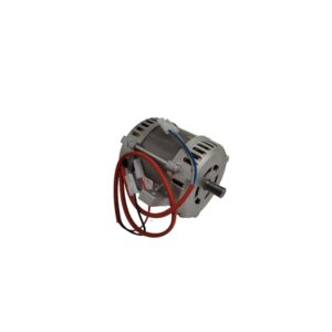 ELECTRIC MOTOR 300 (681)